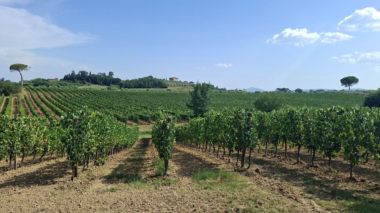 Cantina La Nicchia